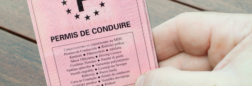 permis de conduire