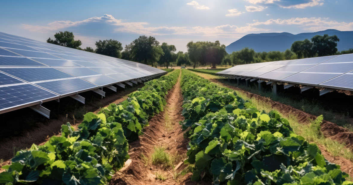 bâtiment agricole photovoltaïque